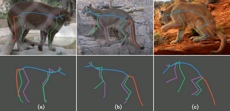 2020_zoobuilder.png