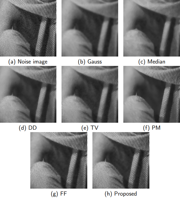 2021_frac_eq_img_denoising.png